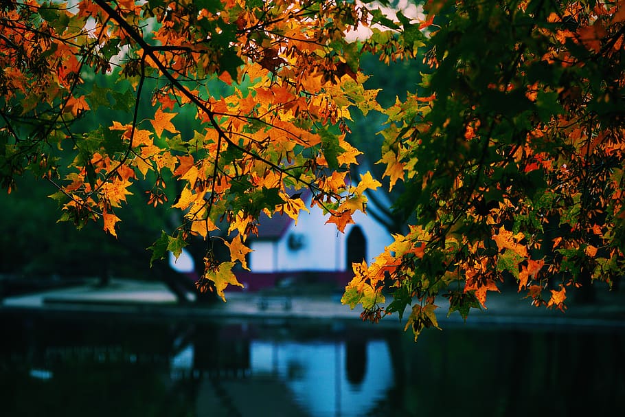 Fall