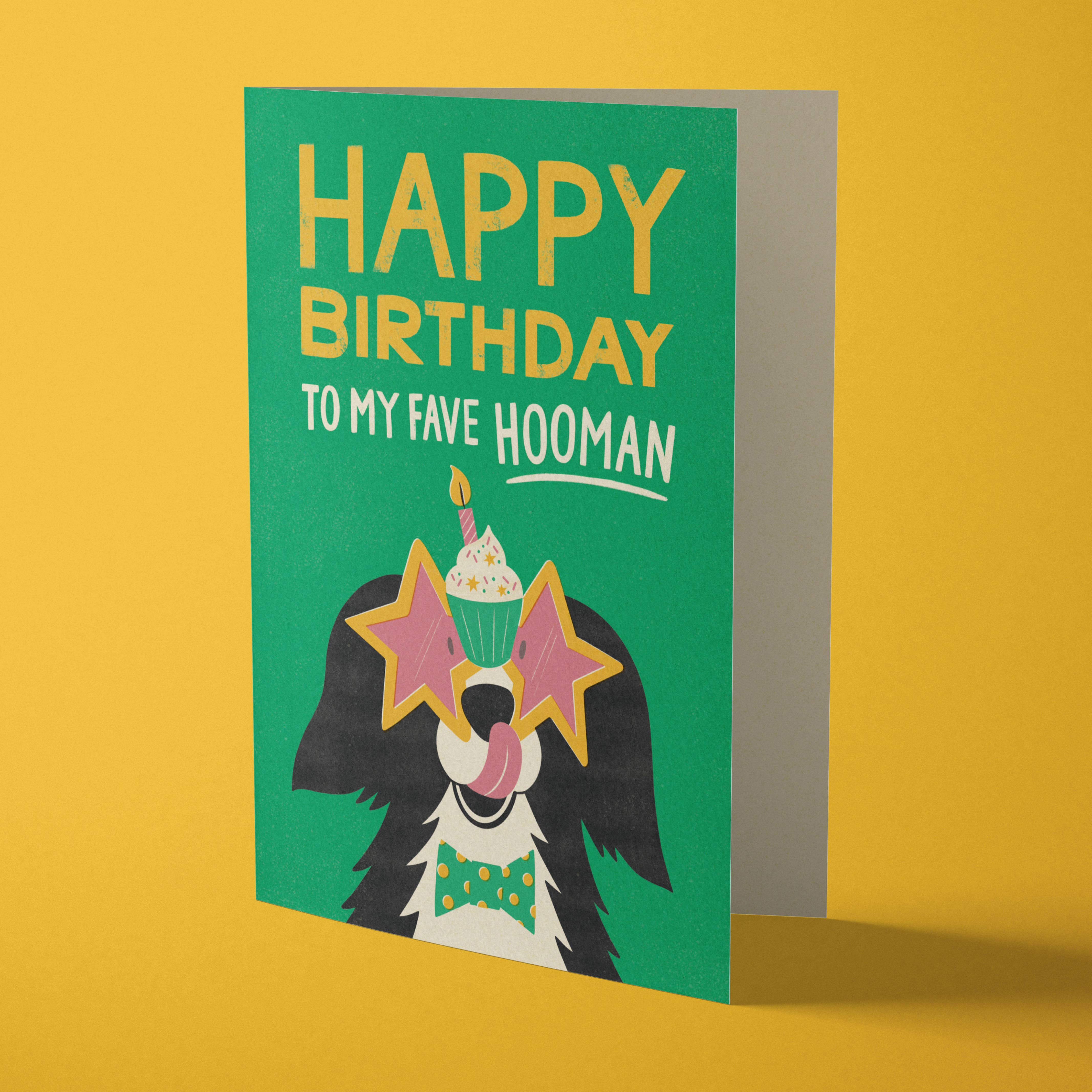 Birthday Dog | Funny Party Collie Greeting Card