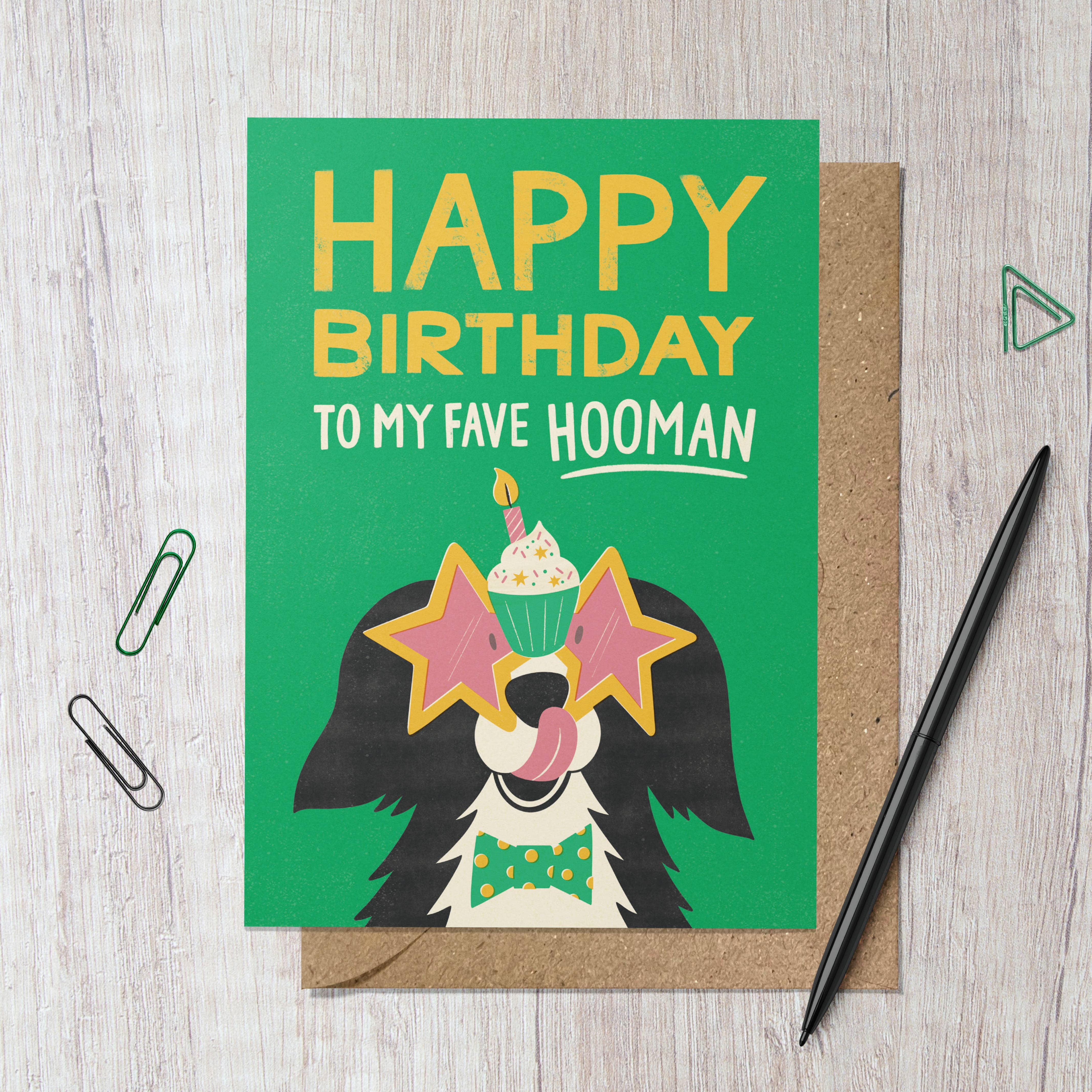 Birthday Dog | Funny Party Collie Greeting Card