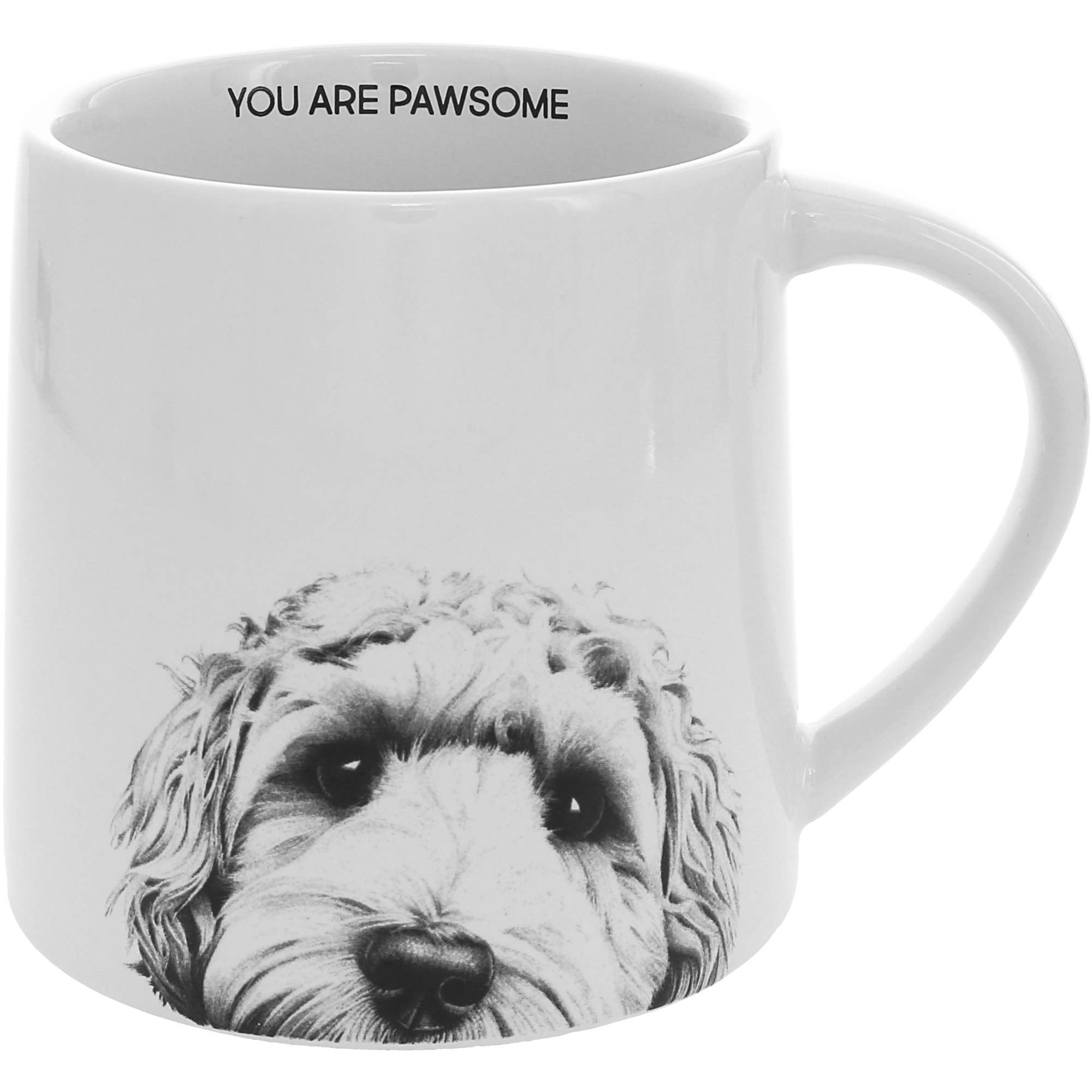 Pawsome - 17 oz Mug