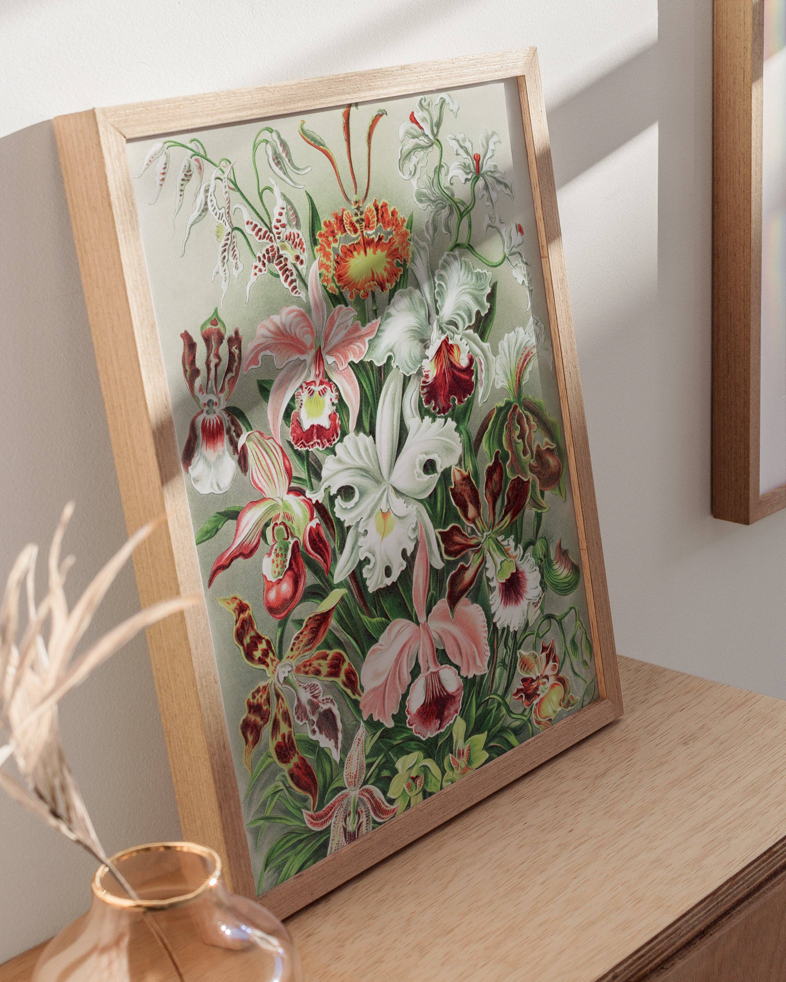 Haeckel Floral Print