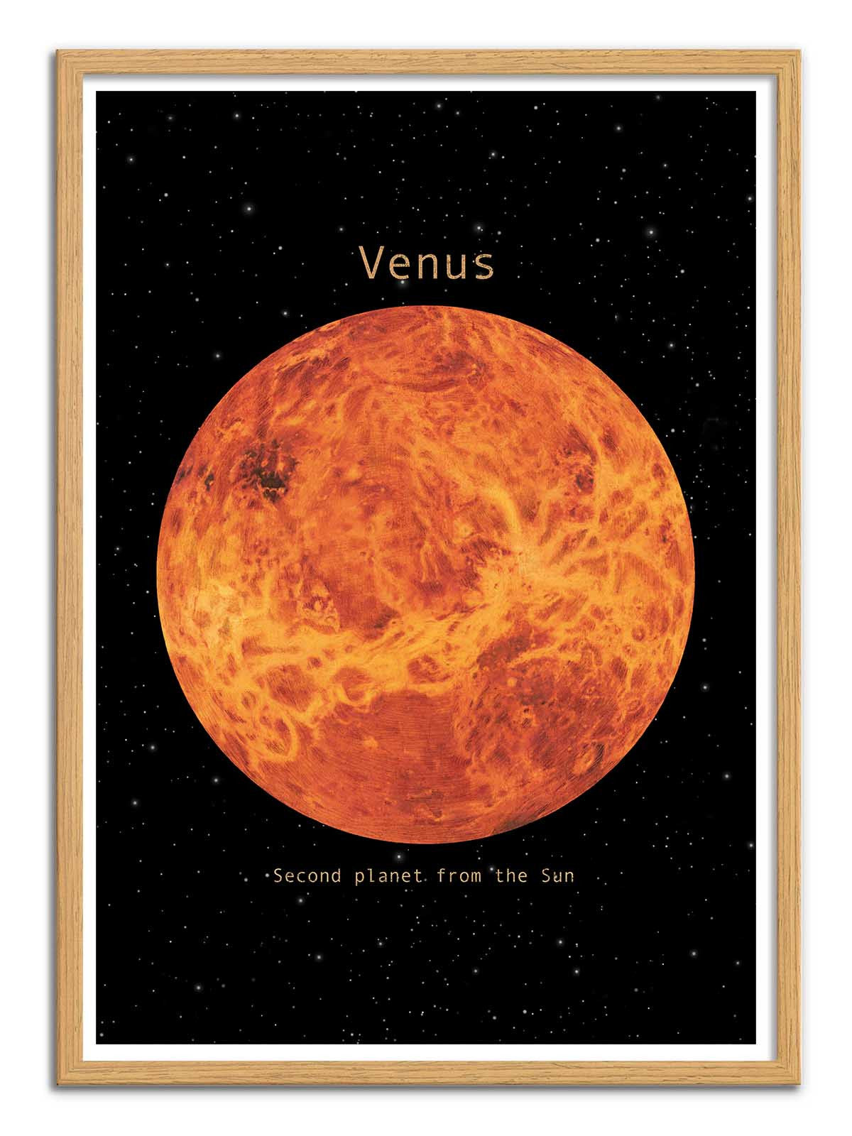 Art Poster - Venus - Terry Fan