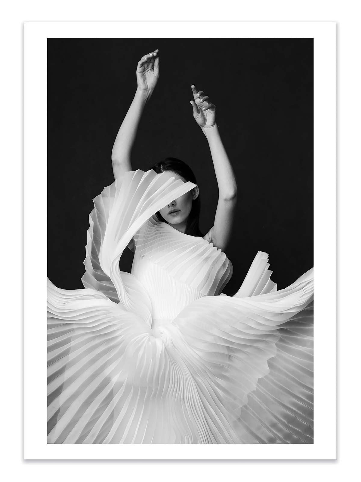 Art Print  - Amadeus - Peyman Naderi
