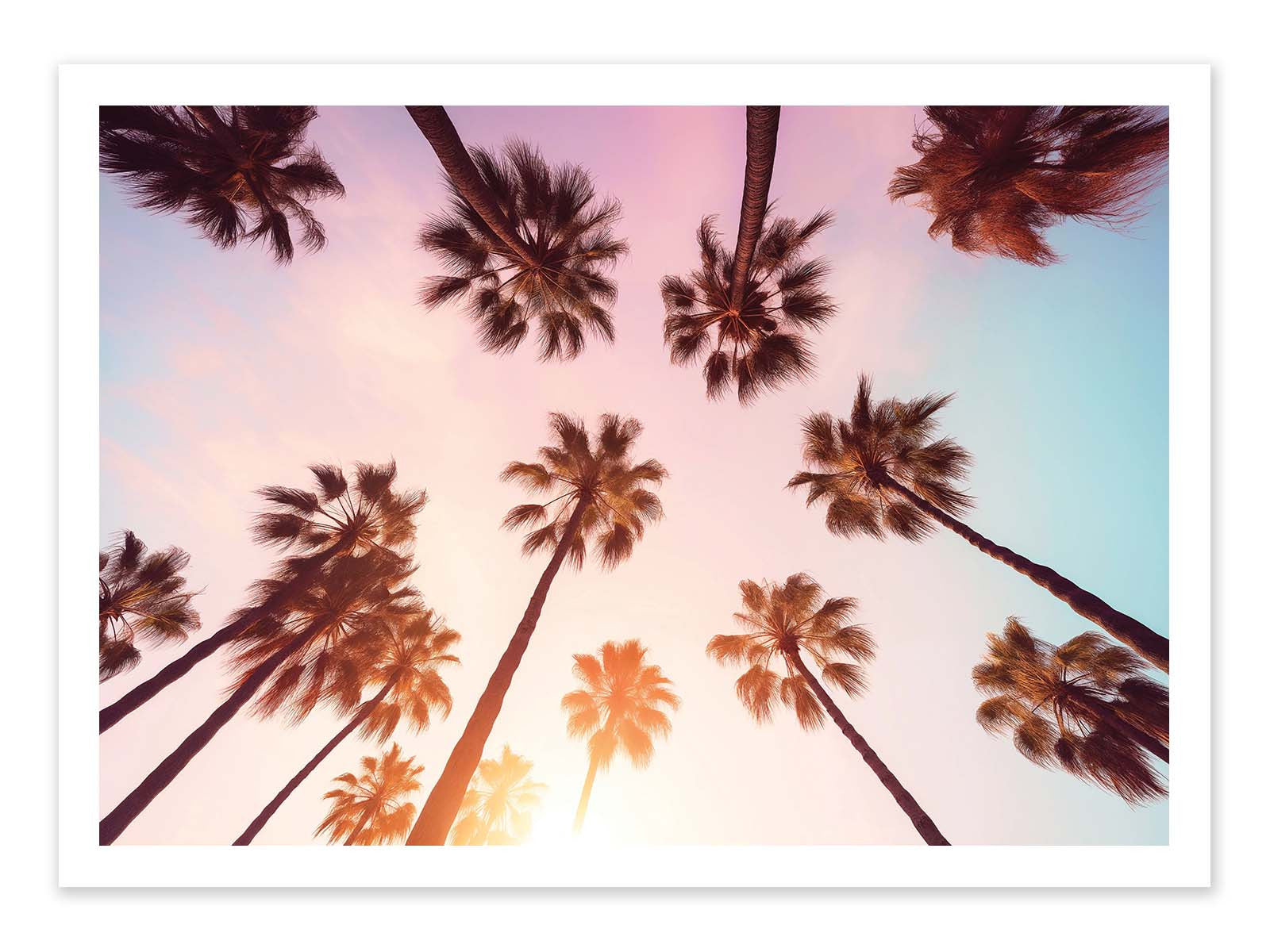 Affiche - Beverly Hills Sunset Palms - Philippe Hugonnard