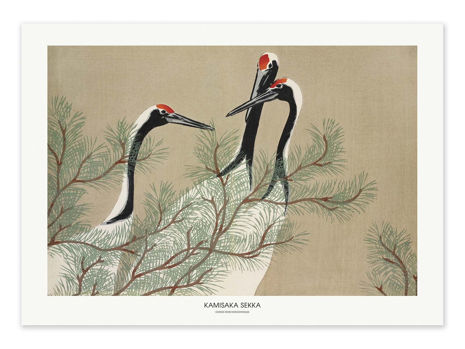 Affiche - Cranes From Momoyogusa - Kamisaka Sekka