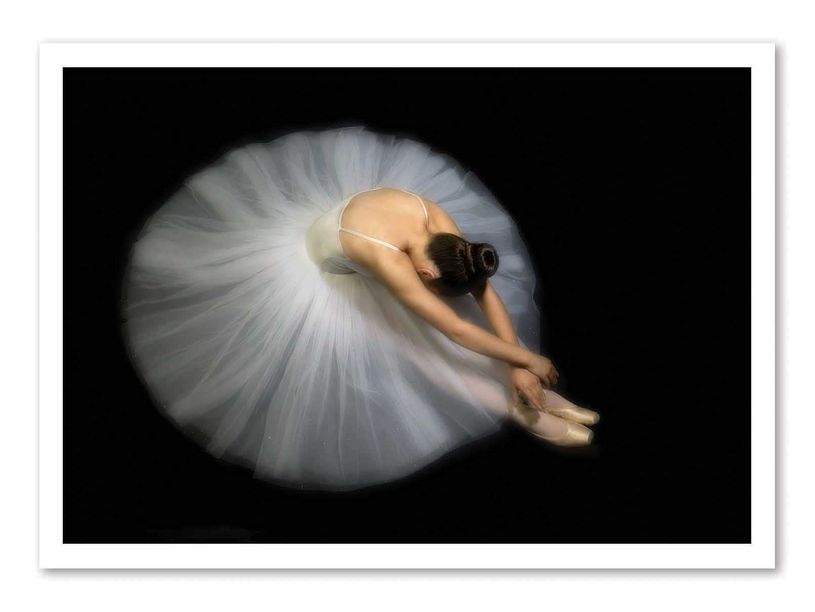 Art Print  - Elegance - Pauline  Pentony MA