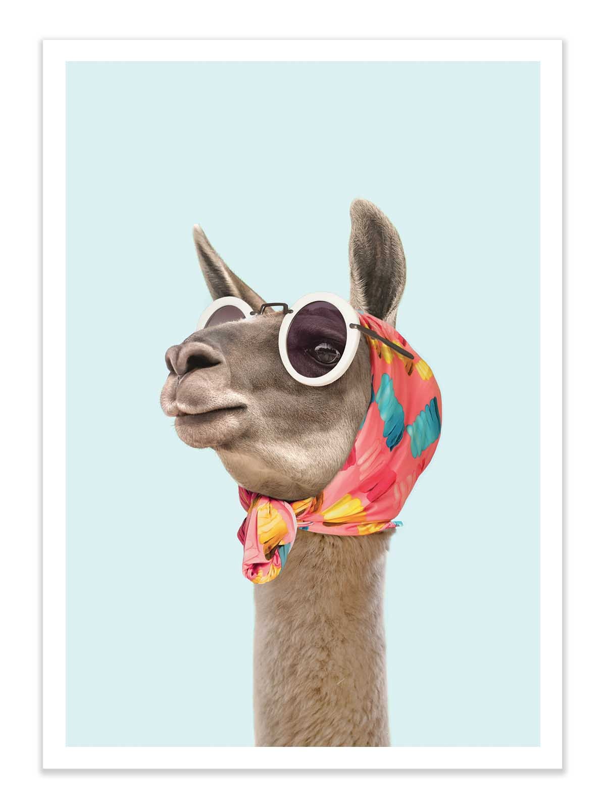 Affiche - Fashion Lama - Paul Fuentes