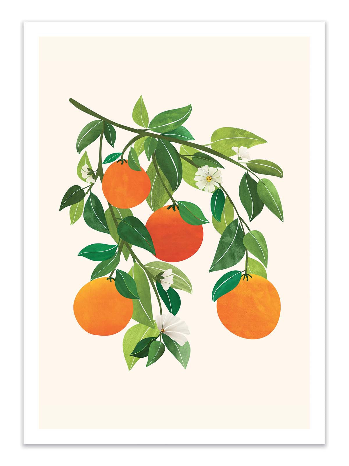 Art Poster - Oranges blossoms - Kristian Gallagher