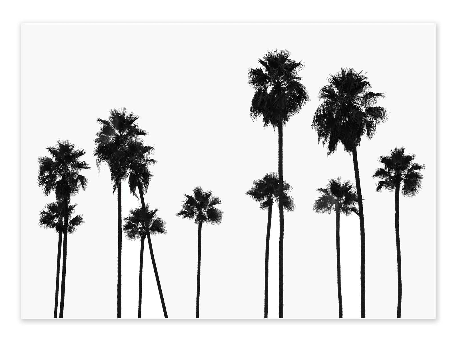 Affiche - Palm Trees LA - Philippe Hugonnard