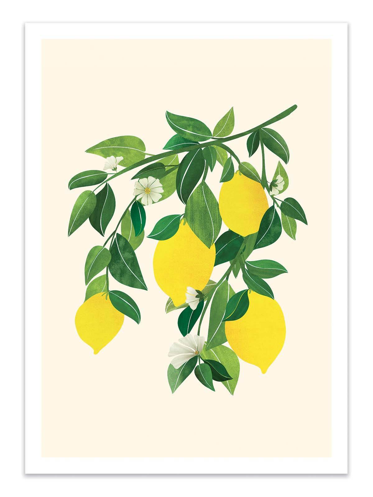Art Poster - Sunny Lemons - Kristian Gallagher