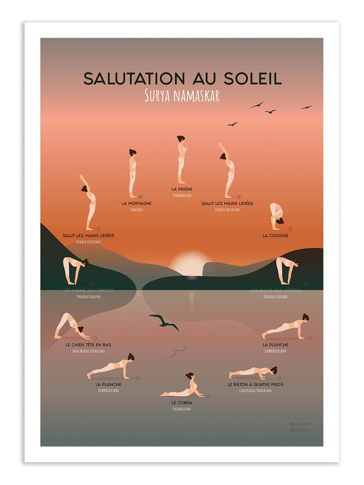 Affiche - Yoga Salutation au soleil - Frog Posters