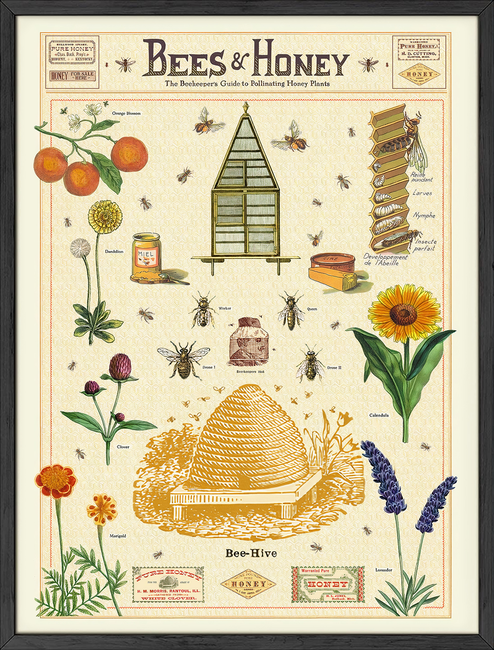 Cavallini Honey Bee